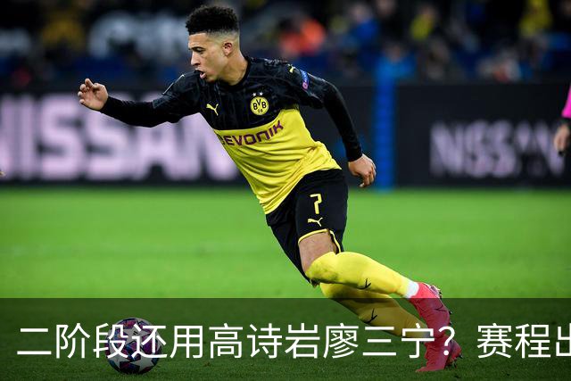 二阶段还用高诗岩廖三宁？赛程出炉很难打，赵睿周琦张镇麟该回来