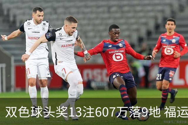 双色球头奖13注607万落9地 福运奖开1004万注